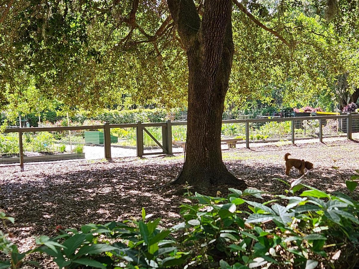 Low Country Cottage In Beautiful Habersham بيوفورت المظهر الخارجي الصورة