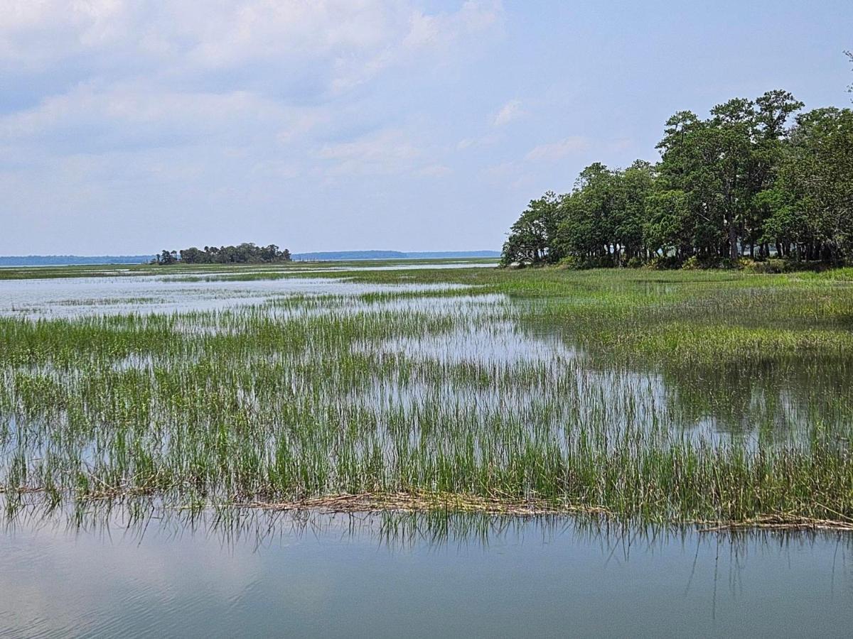 Low Country Cottage In Beautiful Habersham بيوفورت المظهر الخارجي الصورة