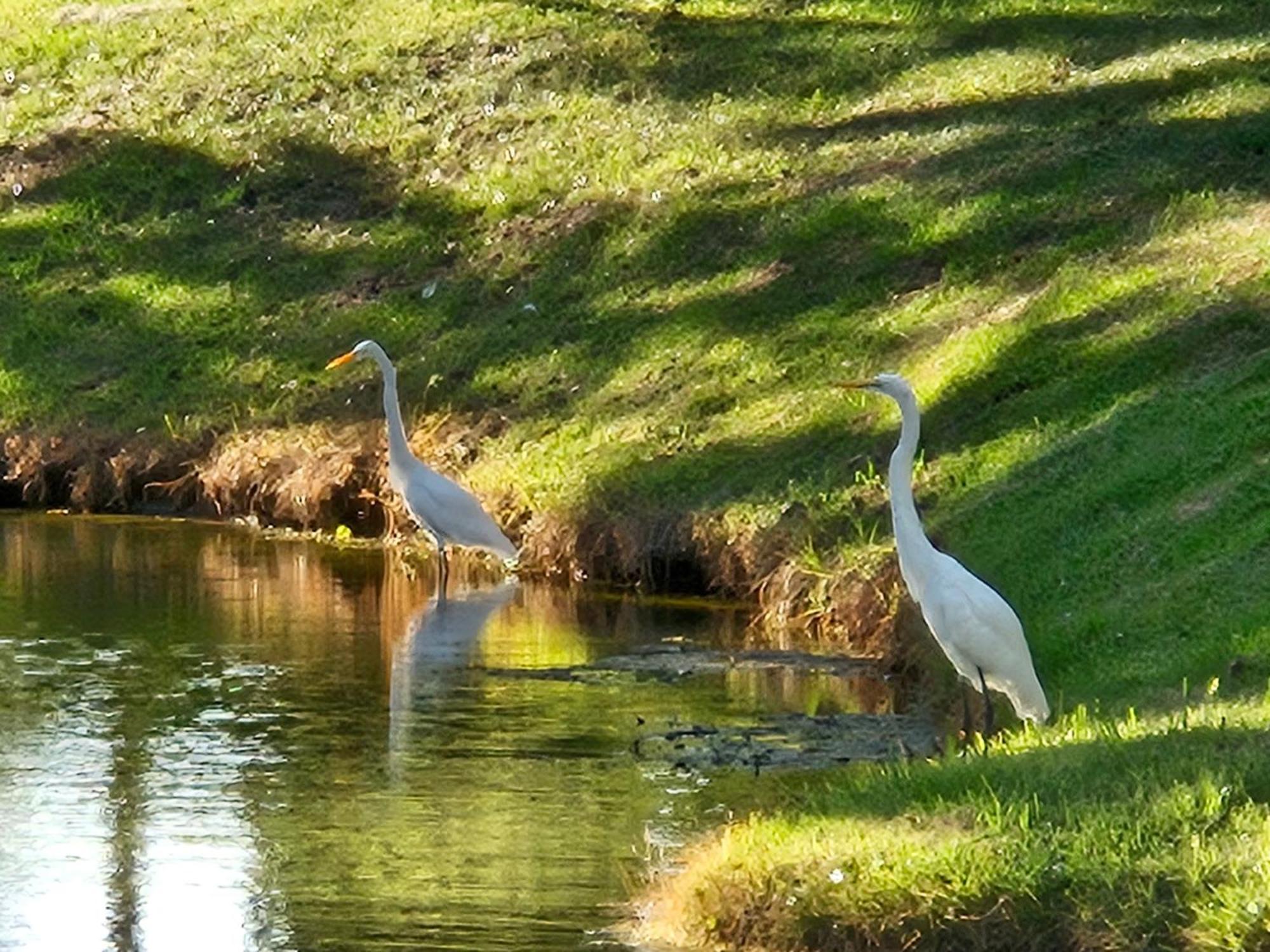 Low Country Cottage In Beautiful Habersham بيوفورت المظهر الخارجي الصورة