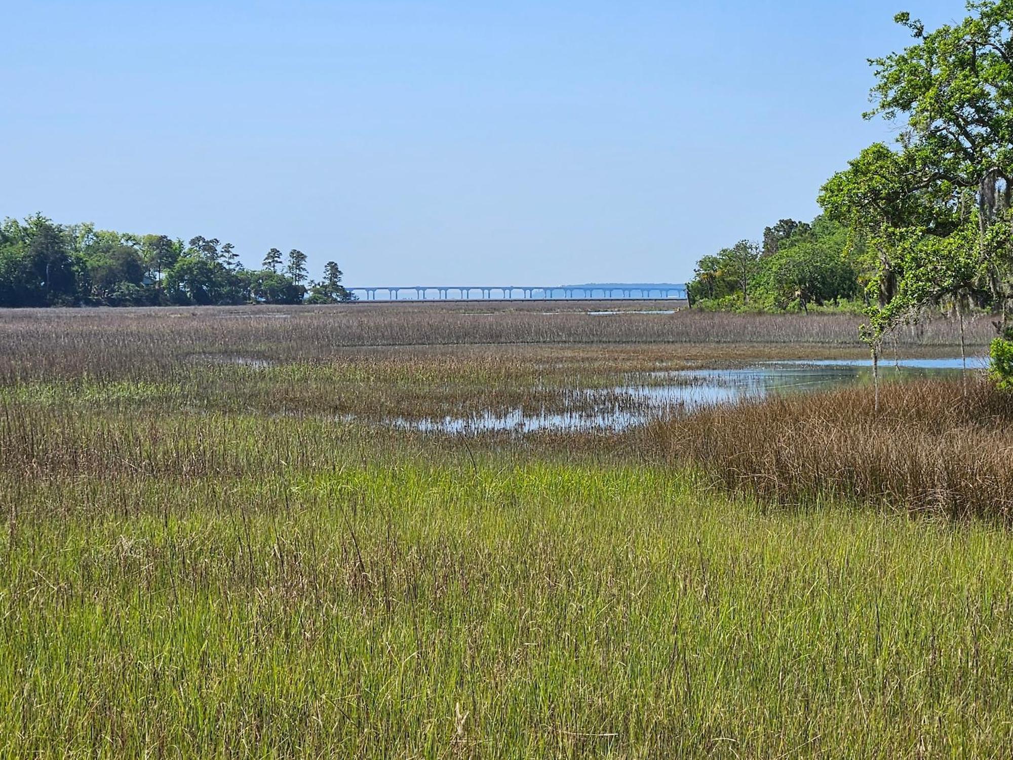 Low Country Cottage In Beautiful Habersham بيوفورت المظهر الخارجي الصورة