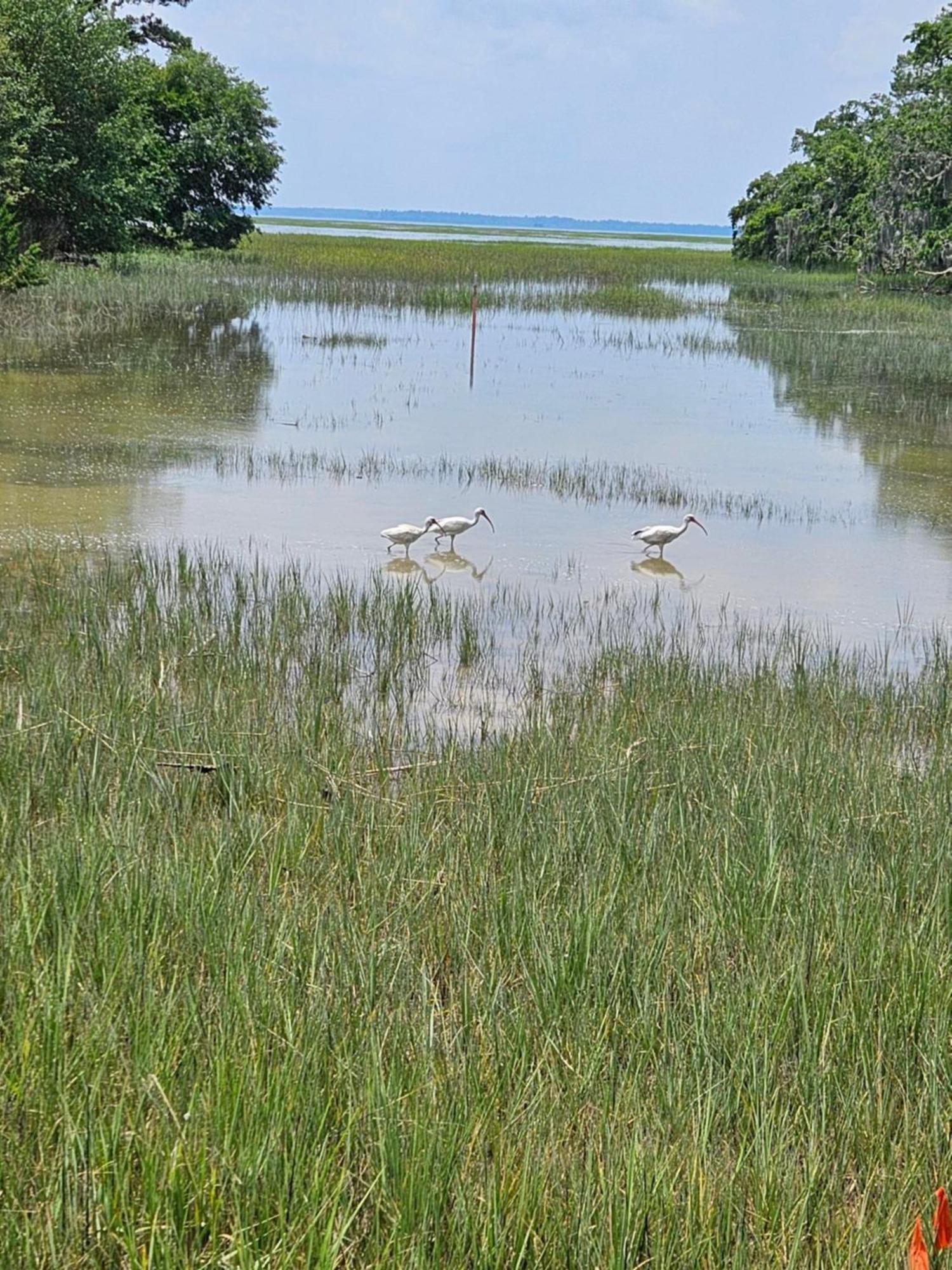Low Country Cottage In Beautiful Habersham بيوفورت المظهر الخارجي الصورة