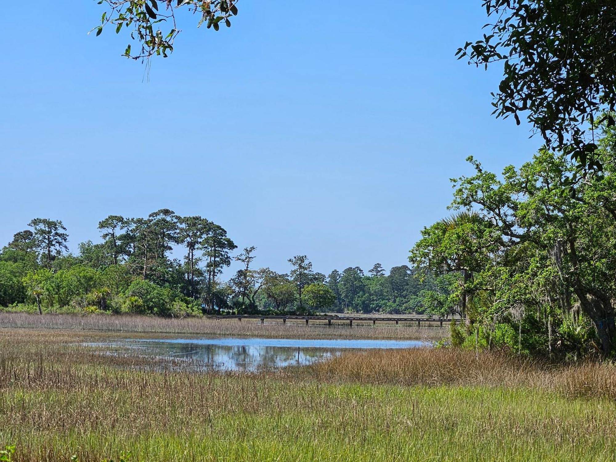 Low Country Cottage In Beautiful Habersham بيوفورت المظهر الخارجي الصورة