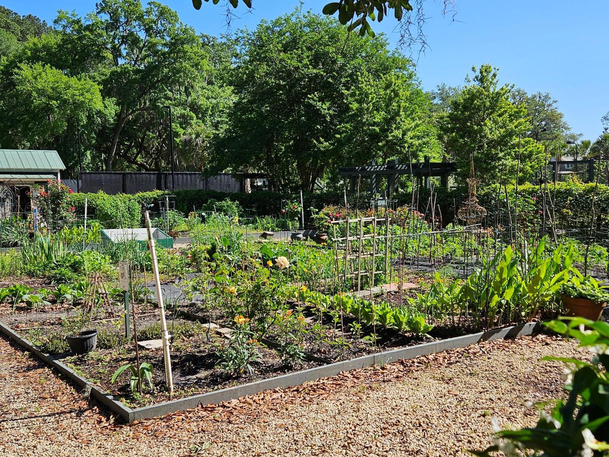 Low Country Cottage In Beautiful Habersham بيوفورت المظهر الخارجي الصورة