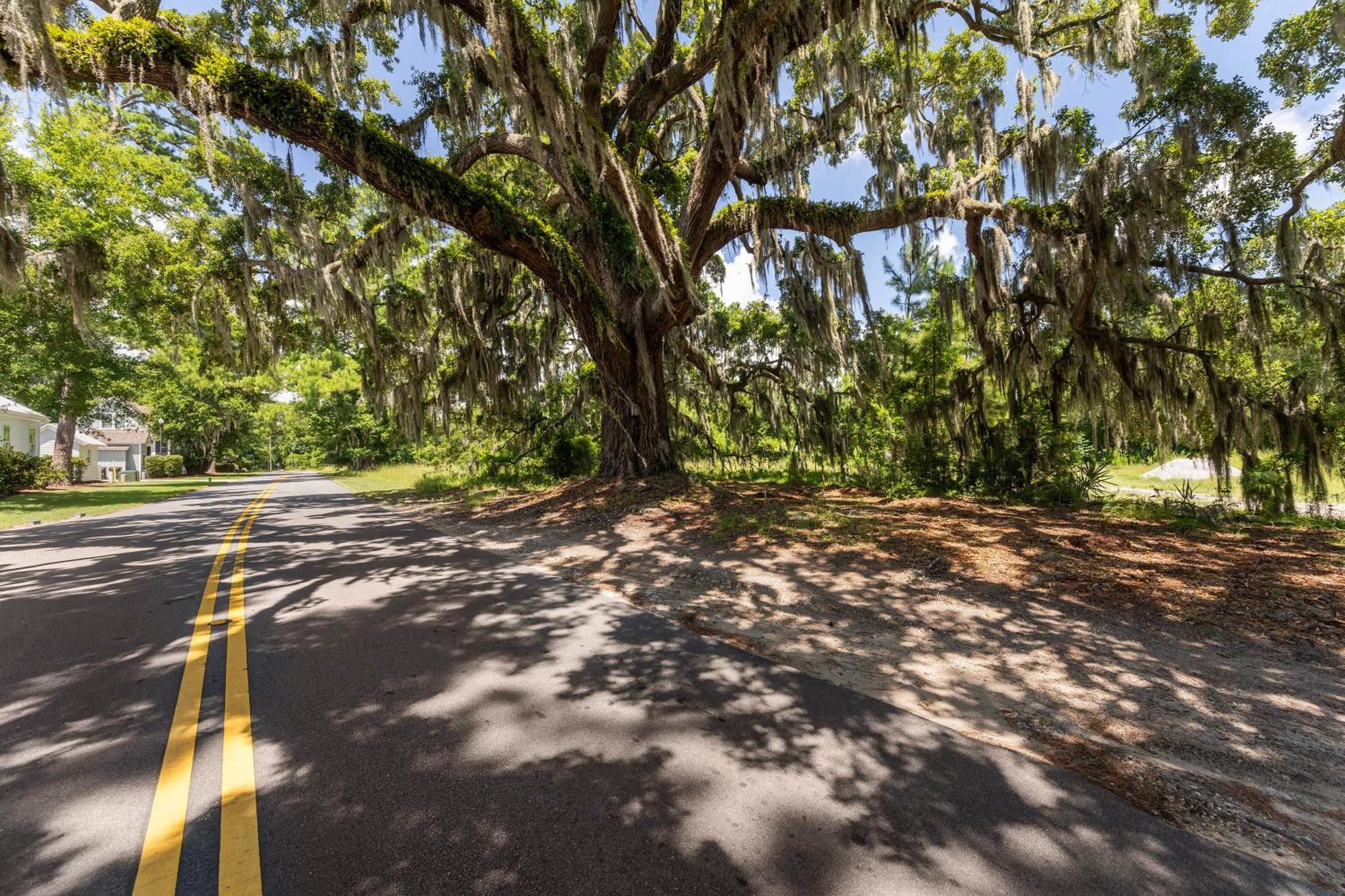 Low Country Cottage In Beautiful Habersham بيوفورت المظهر الخارجي الصورة